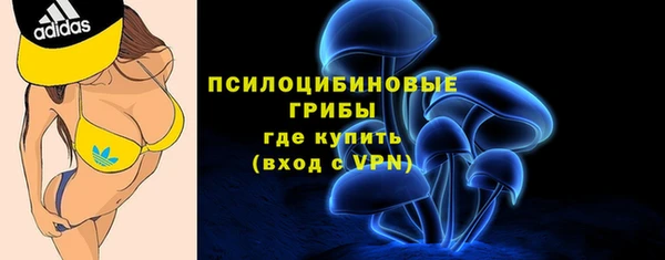 молекула духа Алексин