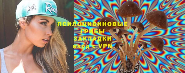 apvp Алексеевка