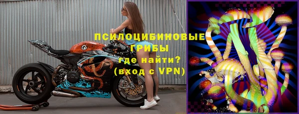 молекула духа Алексин