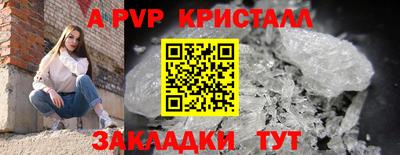 Альфа ПВП Бердск