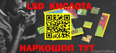 прущие грибы Белореченск